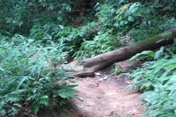 Monk's Trail to Doi Suthep & Mon ThaThan Waterfall — Chiang Mai Forest Hike photo 4
