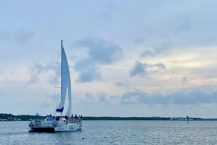 Orange Beach Dolphin Sailing Cruise on a 52-Foot Catamaran