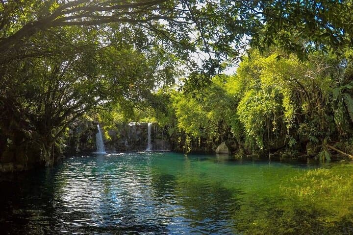 Mauritius Waterfalls Tour: Private SUV to Chamarel, Tamarind & Rochester Falls photo 4