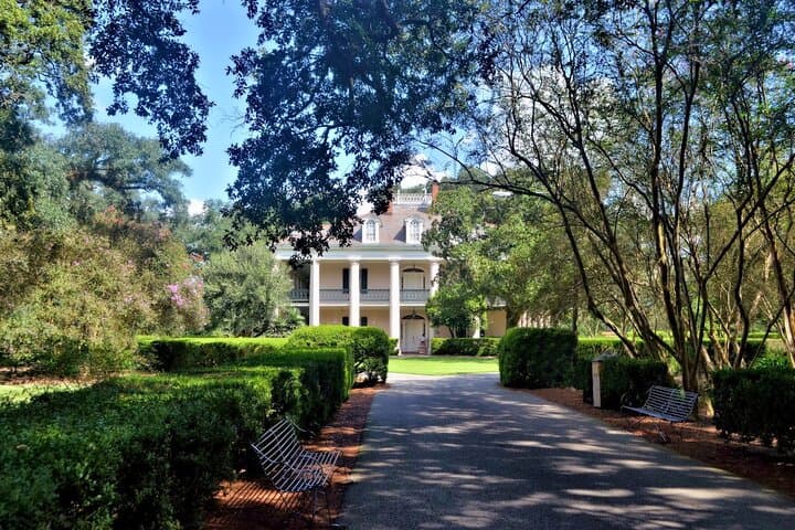 Oak Alley Plantation Guided Tour from New Orleans with Transportation photo 2