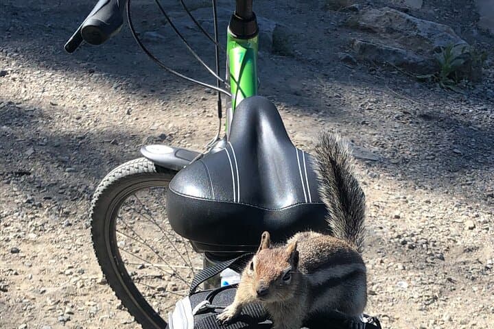 Myra Canyon Kettle Valley Railway Bike & Wine Tour — Guided Ride from Kelowna photo 6