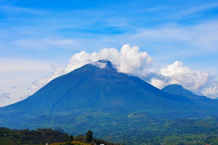 4-Day Gorilla Tracking Tour in Uganda — Bwindi Rushaga & Lake Bunyonyi Adventure photo 2