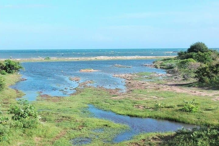 Minneriya National Park Jeep Safari — Watch Sri Lanka’s Elephant Gathering photo 3