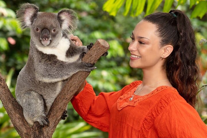 kuranda-wildlife-deluxe-multi-attraction-pass-visit-koalas-butterflies-and-aviary