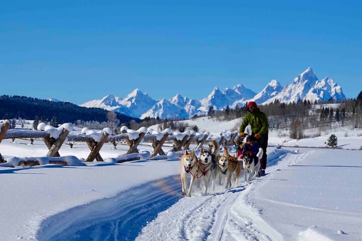 Jackson Hole Dog Sledding & Snowmobiling Combo at Heart Six Ranch photo 3