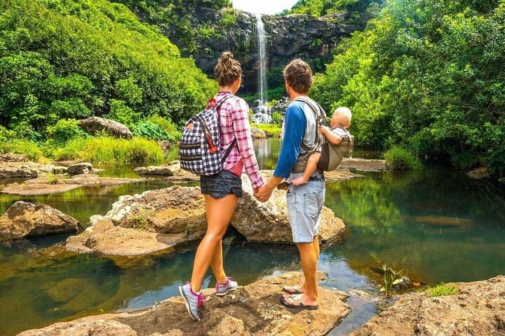 Mauritius Waterfalls Tour: Private SUV to Chamarel, Tamarind & Rochester Falls