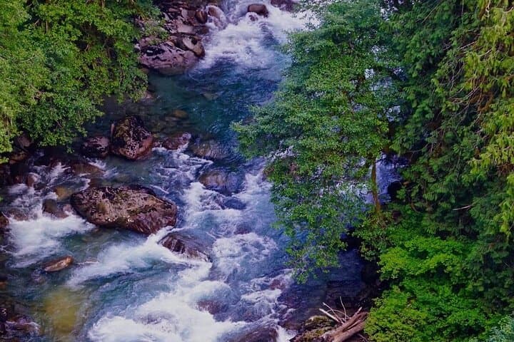 Mauritius Waterfalls Tour: Private SUV to Chamarel, Tamarind & Rochester Falls photo 5