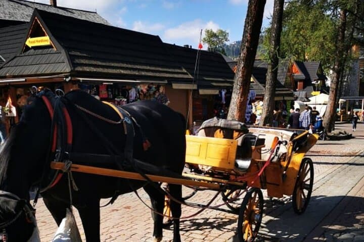 Day Trip to Zakopane: Gubałówka Funicular, Wooden Village & Chocholowskie Thermal Springs