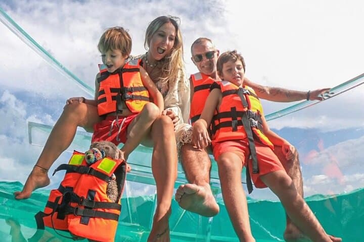 Clear-Boat VIP Tour to El Arco and Cabo's Marine Highlights