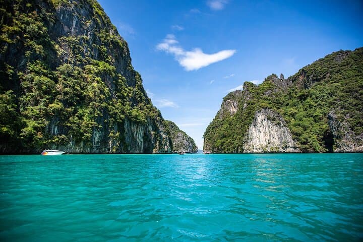 Phi Phi Islands Speedboat Day Trip from Krabi — Maya Bay, Snorkeling & Coral Gardens photo 6