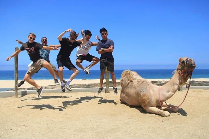 Cabo Side‑by‑Side and Camel Combo: Dunes, Coastline & Sanctuary Experience photo 6