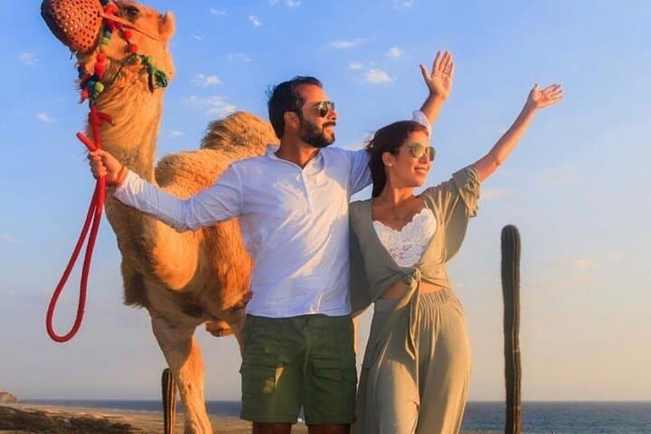 Cabo Camel Encounter: Beach Safari Ride with Lunch & Alcohol Tasting photo 6
