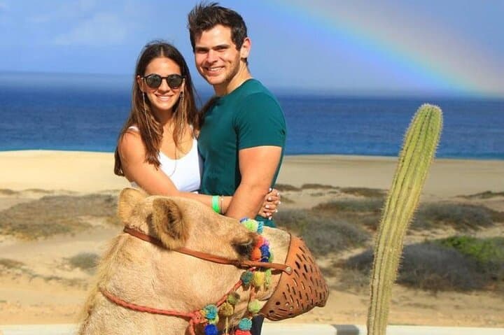 Cabo Camel Encounter: Beach Safari Ride with Lunch & Alcohol Tasting