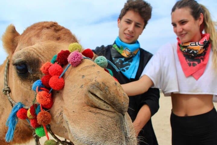 Cabo Side‑by‑Side and Camel Combo: Dunes, Coastline & Sanctuary Experience photo 2