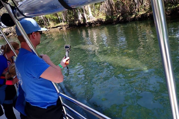 Crystal River Manatee Viewing Cruise — Kings Bay Wildlife Boat Tour photo 1