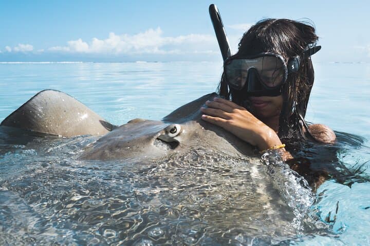 Private Moorea Marine Wildlife Adventure with Underwater Photography photo 3