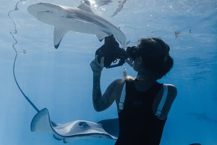 Private Moorea Marine Wildlife Adventure with Underwater Photography photo 5