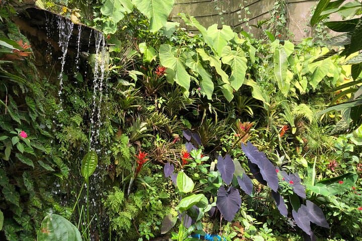Andoke Butterfly Center Cali: Guided Visit & Symbolic Release Near Cristo Rey photo 3