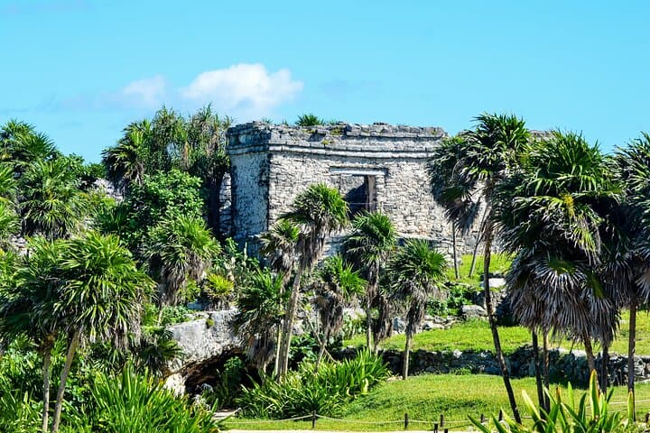 Tulum Ruins, Giant Sculpture & Cenotes: Full-Day Riviera Maya Adventure with Lunch photo 6
