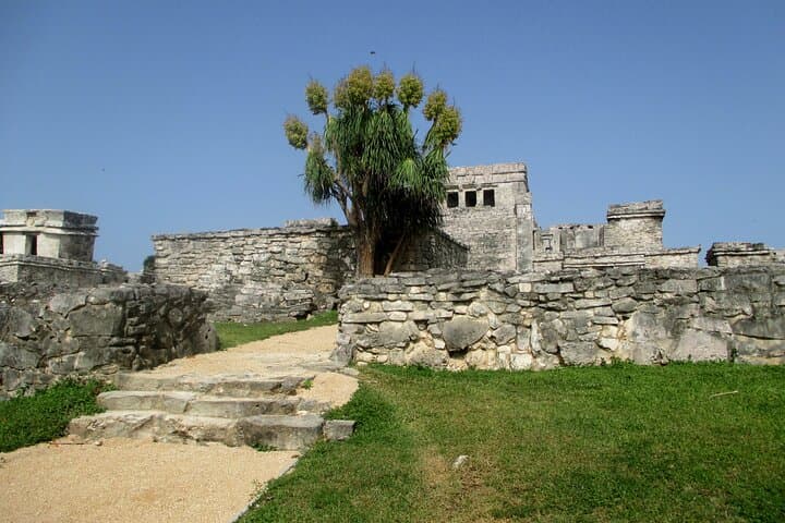 Tulum, Coba & Cenote Day Tour from Cancun — Ancient Ruins, Jungle Swim & Playa del Carmen photo 6