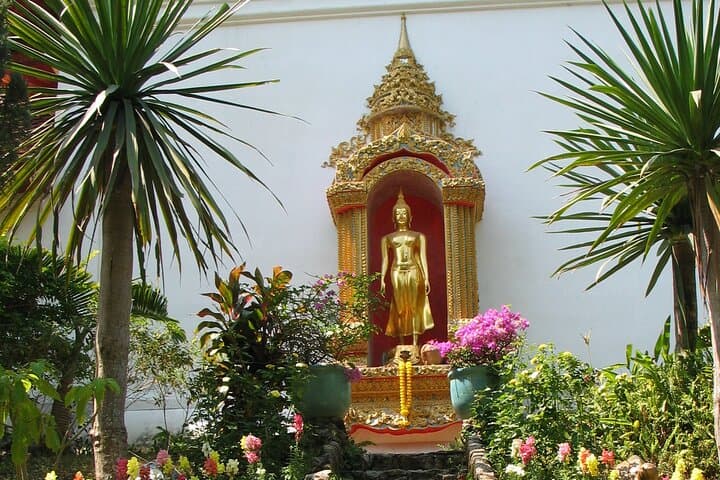 Suthep National Park: Chiang Mai Downhill Mountain Biking & Cultural Walks photo 6