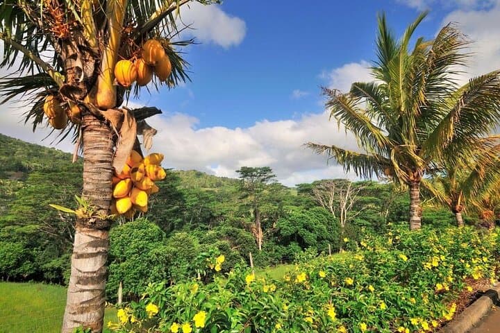 West Coast Mauritius Day Tour — Chamarel Sunset, Seven Coloured Earths & Waterfalls photo 3