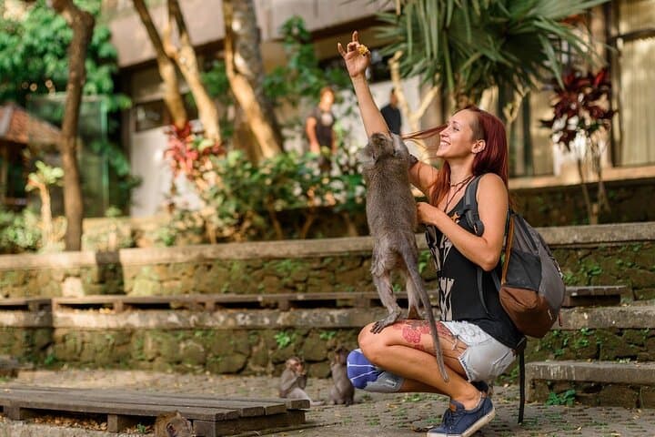 Private Scenic Hiking Tour in Ubud — Waterfalls, Rice Fields & Jungle Swing photo 4