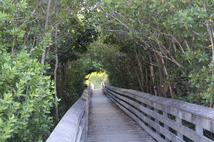 Marco Island Photography Experience: Tigertail Beach Photo Walk photo 2