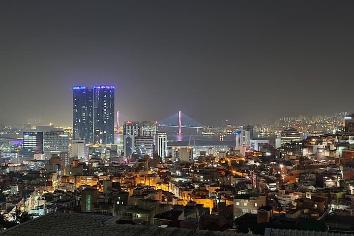 Busan Night Views: Ridgewalk to Mountain Observatories photo 2