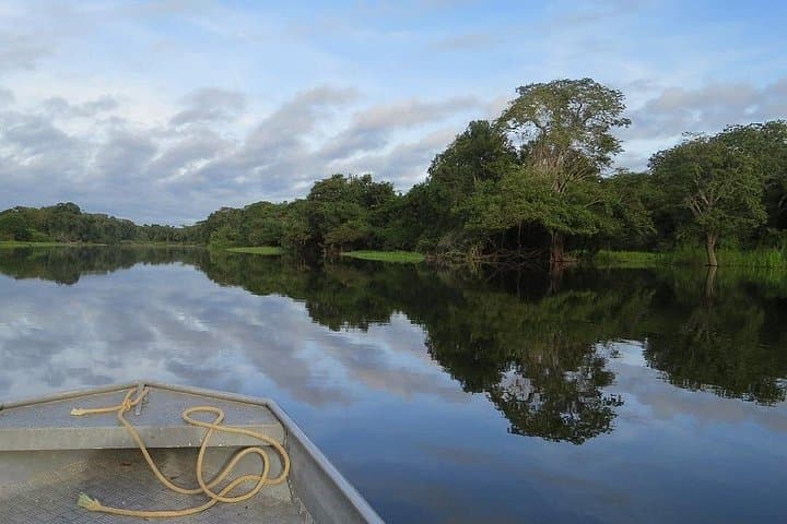 4-Day Tambopata Wildlife Adventure: Lake Sandoval, Canopy Bridges & Indigenous Visit photo 2