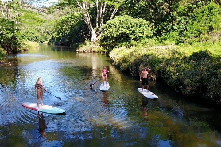 Wailua River Stand-Up Paddle Rental to Secret Falls — Kauai Full-Day SUP Guide photo 3