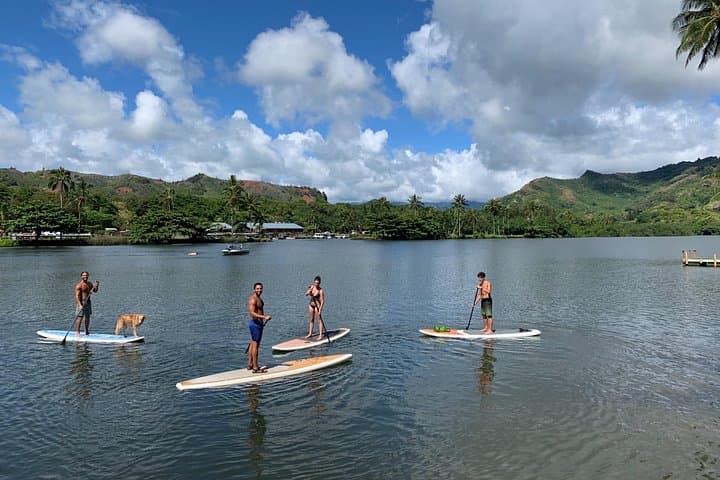Wailua River Stand-Up Paddle Rental to Secret Falls — Kauai Full-Day SUP Guide photo 4