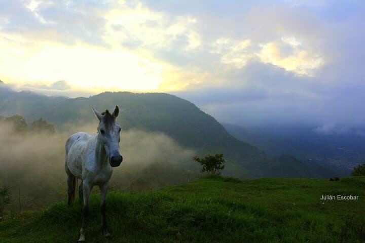Horseback Riding in Jardín: Coffee Hills, Viewpoints & Cultural Trails