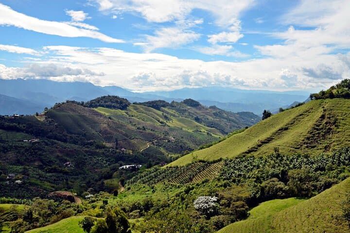 Horseback Riding in Jardín: Coffee Hills, Viewpoints & Cultural Trails photo 2