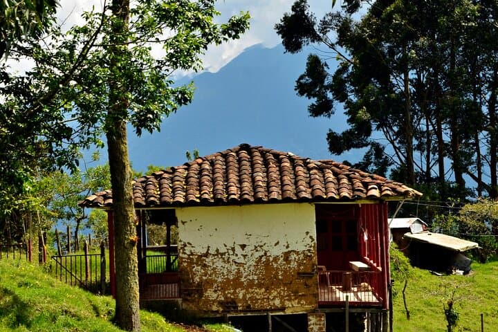 Horseback Riding in Jardín: Coffee Hills, Viewpoints & Cultural Trails photo 3