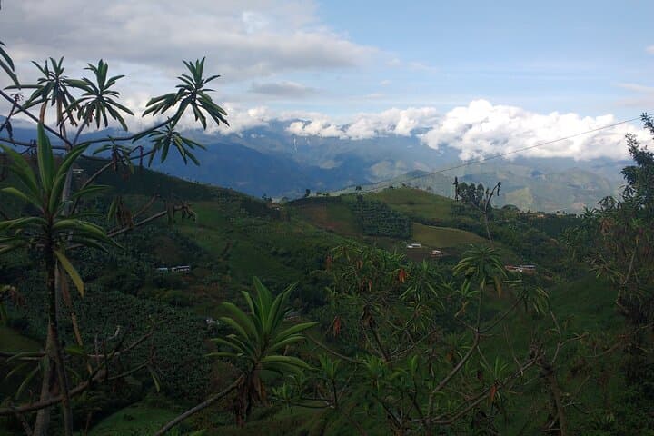 Horseback Riding in Jardín: Coffee Hills, Viewpoints & Cultural Trails photo 4