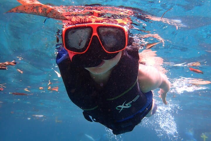 Swim with Manatees in Crystal River: Guided Kayak Tour & Snorkel photo 4