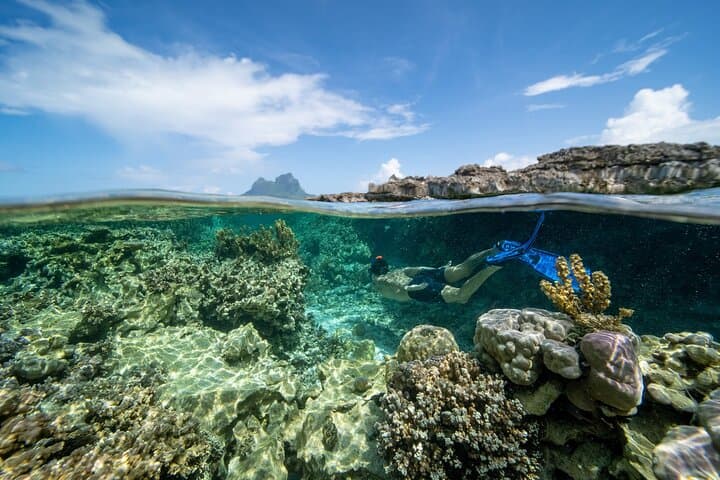 Luxury Bora Bora Reef Discovery: Private Lagoon Snorkel & Sunset Cruise photo 6
