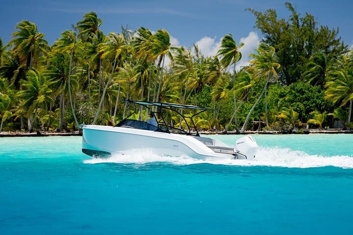 Private Reef Discovery & Luxury Motu Lunch Cruise in Bora Bora Lagoon