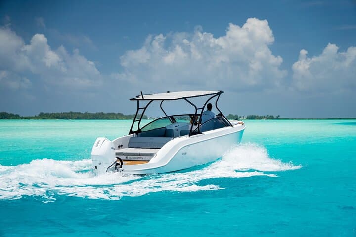 Bora Bora Private Reef Discovery: Luxury Lagoon Treasure Hunt for Kids photo 5