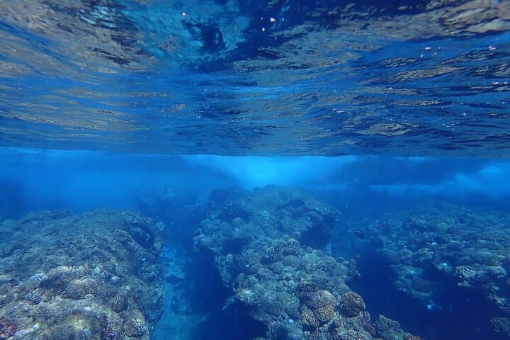 Bora Bora Private Reef Discovery: Luxury Lagoon Treasure Hunt for Kids photo 3