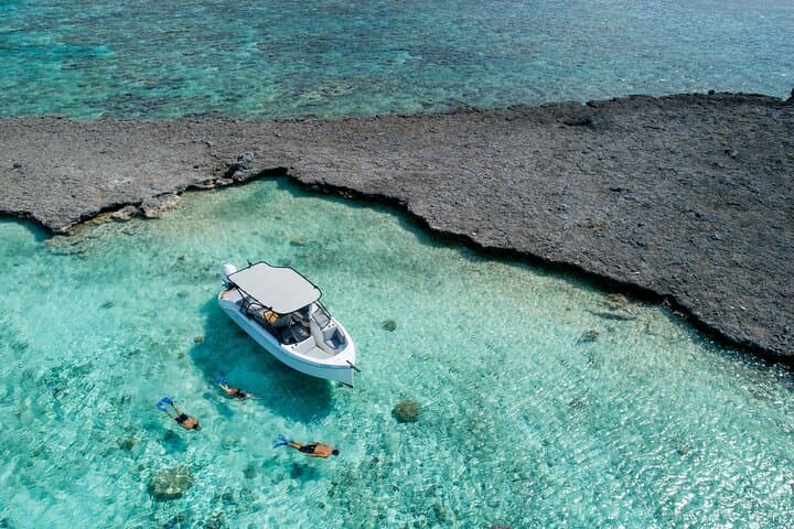 Bora Bora Private Reef Discovery: Luxury Lagoon Treasure Hunt for Kids