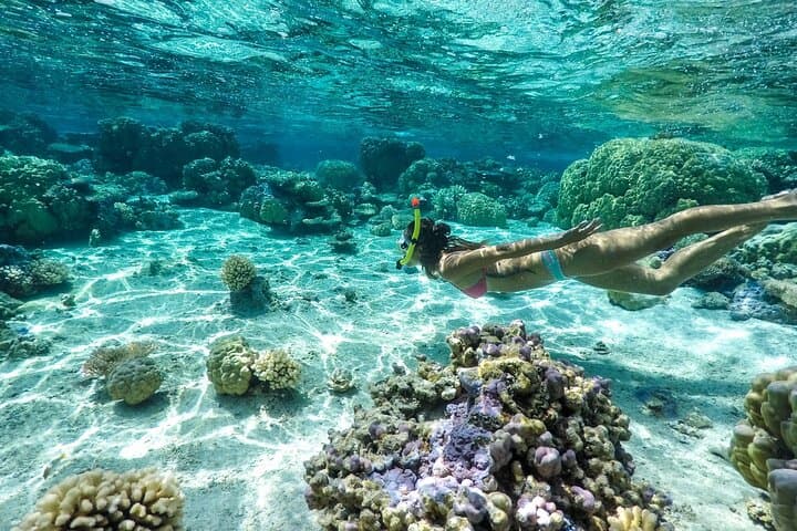 Bora Bora Private Reef Discovery: Luxury Lagoon Treasure Hunt for Kids photo 6