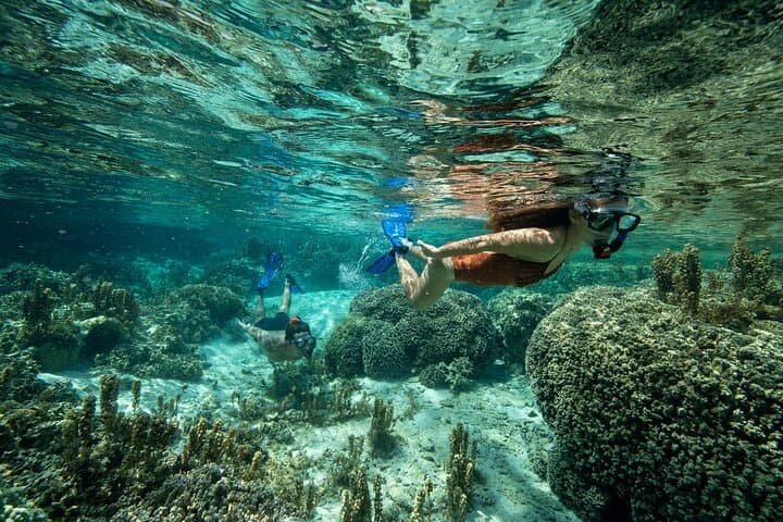Bora Bora Private Snorkeling Lagoon Tour — Luxury Reef Discovery photo 6