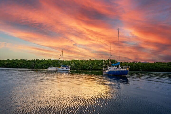 Cairns Sunset Cruise on Trinity Inlet — Evening Wildlife & Waterfront Skyline photo 3