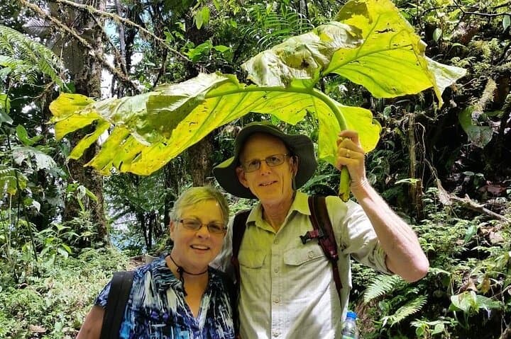 Full-Day Mindo Cloud Forest: Birds, Waterfalls, Chocolate & Cable Car photo 5