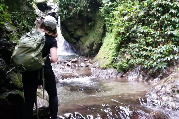 Full-Day Mindo Cloud Forest: Birds, Waterfalls, Chocolate & Cable Car photo 4