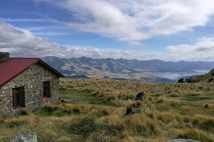 Packhorse Hut Guided Walk: Private Port Hills Hike from Christchurch photo 2
