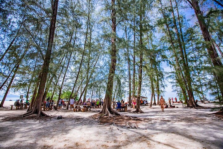 Private Half-Day Bamboo Island Longtail Boat Tour from Phi Phi photo 5