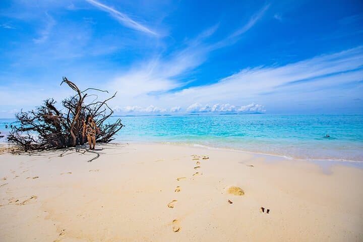 Maya Bay & Phi Phi Snorkeling Tour from Koh Lanta — Maya Bay, Monkey Bay, Phi Phi Don photo 6